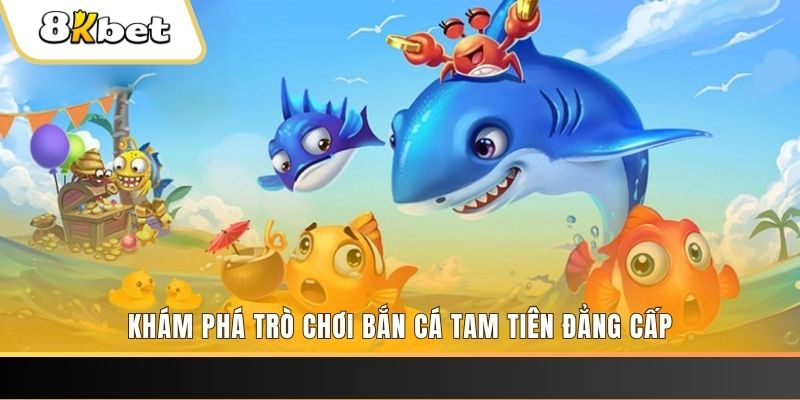 555win12 thị trường baccarat là gì