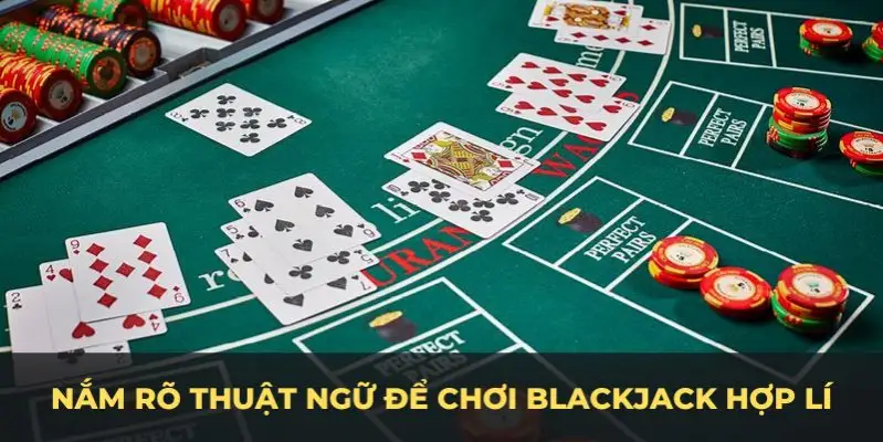 555win12 c1 gà chọi