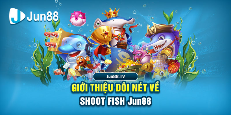555win12 đá gà