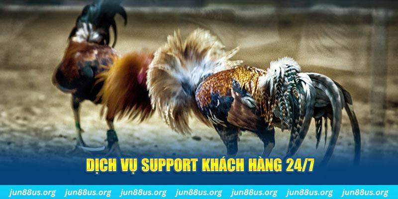 555win12 ÁT CHỦ BÀI GIÀNH LẤY ZHUANG NIUNIU ( XEM 4 LÁ )
