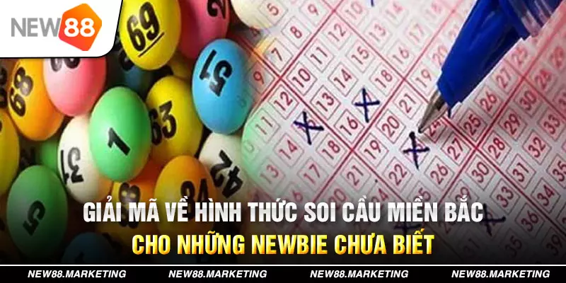 555win12 xổ số tây ninh