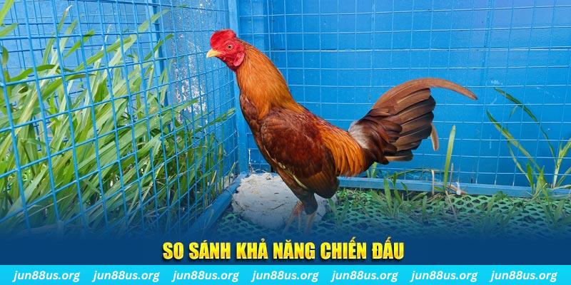 555win12 CQ9 Điện Tử