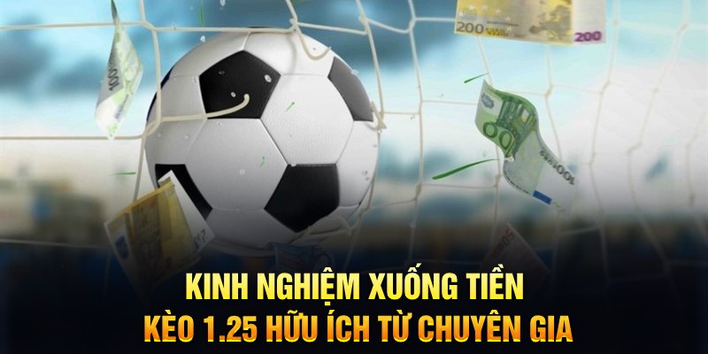 555win12 TCG Xổ Số