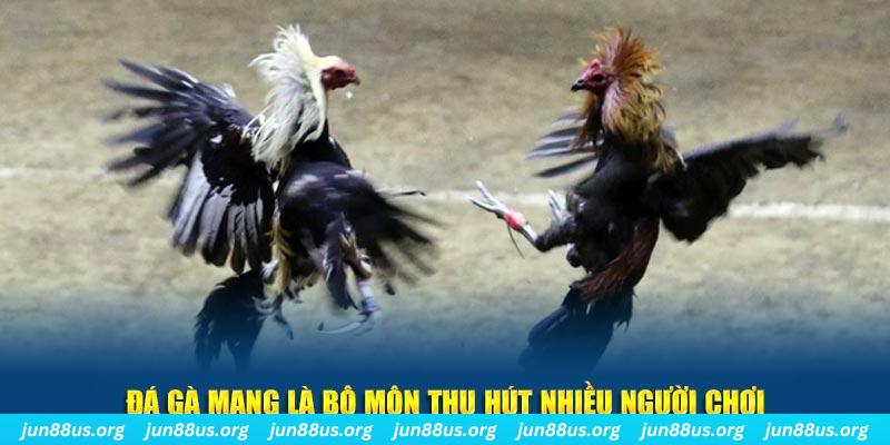 555win12 bắn cá au88