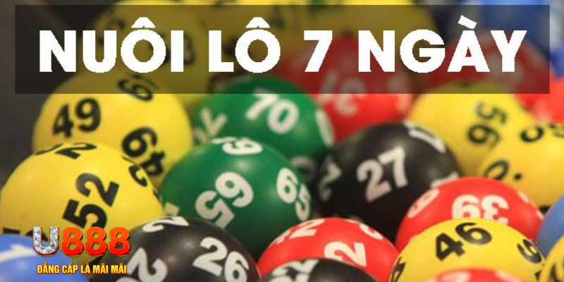555win12 what are slot machines