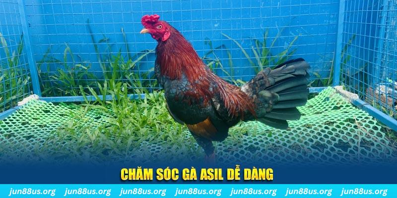 555win12 game bài là gì