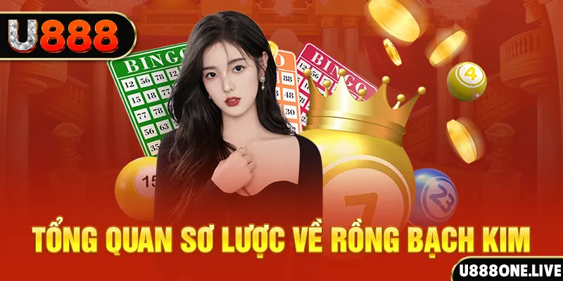555win12 hũ 8 bit nổ như thế nào