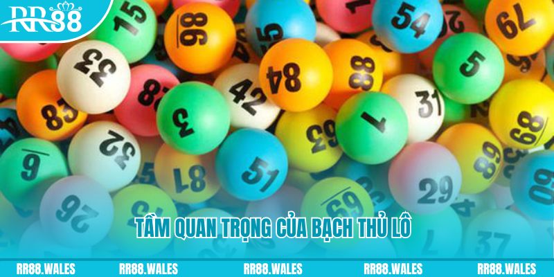 555win12 xổ số an giang