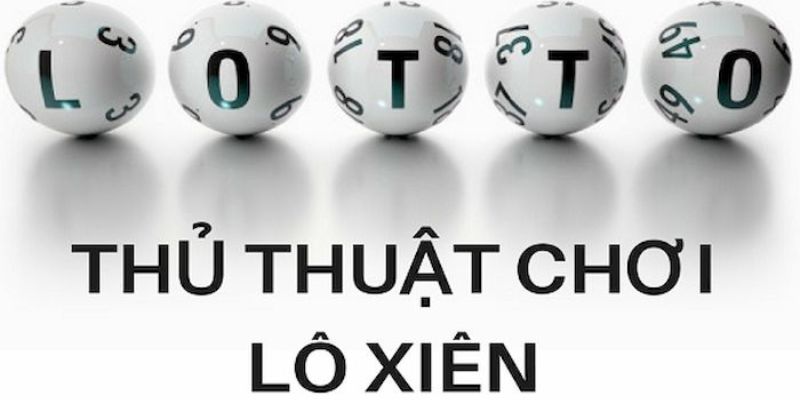 555win12 trực tiếp đá gà thomo