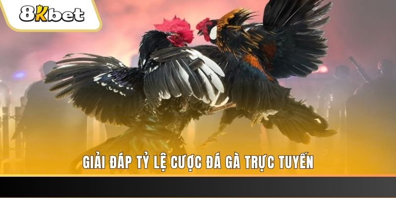 555win12 xổ số đài miền trung