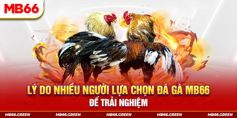 555win12 xổ số miền bắc thứ bảy hàng tuần