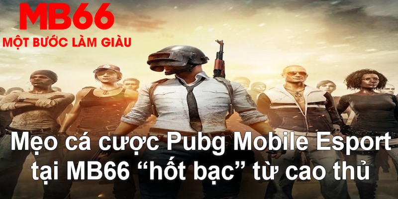 555win12 VA Bắn cá