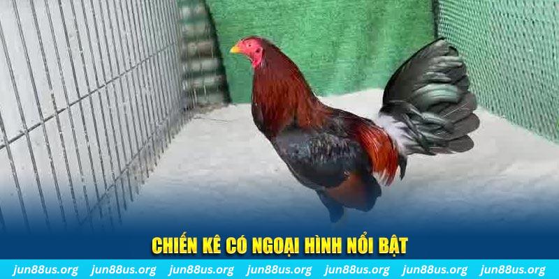 555win12 game nổ hũ là gì
