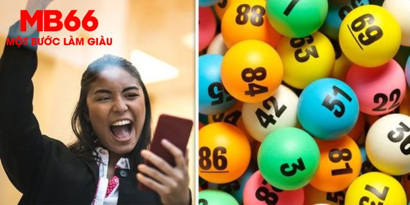 555win12 Trăm Knorr