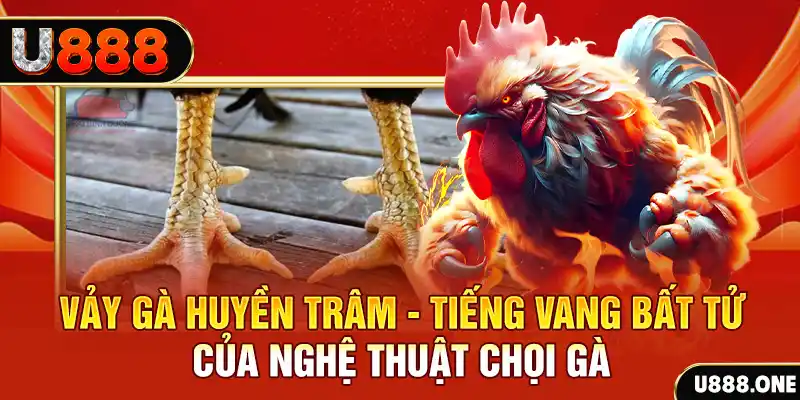 555win12 xổ số miền bắc ngày hôm nay