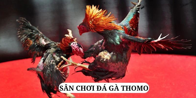 555win12 trực tiếp xổ số miền bắc